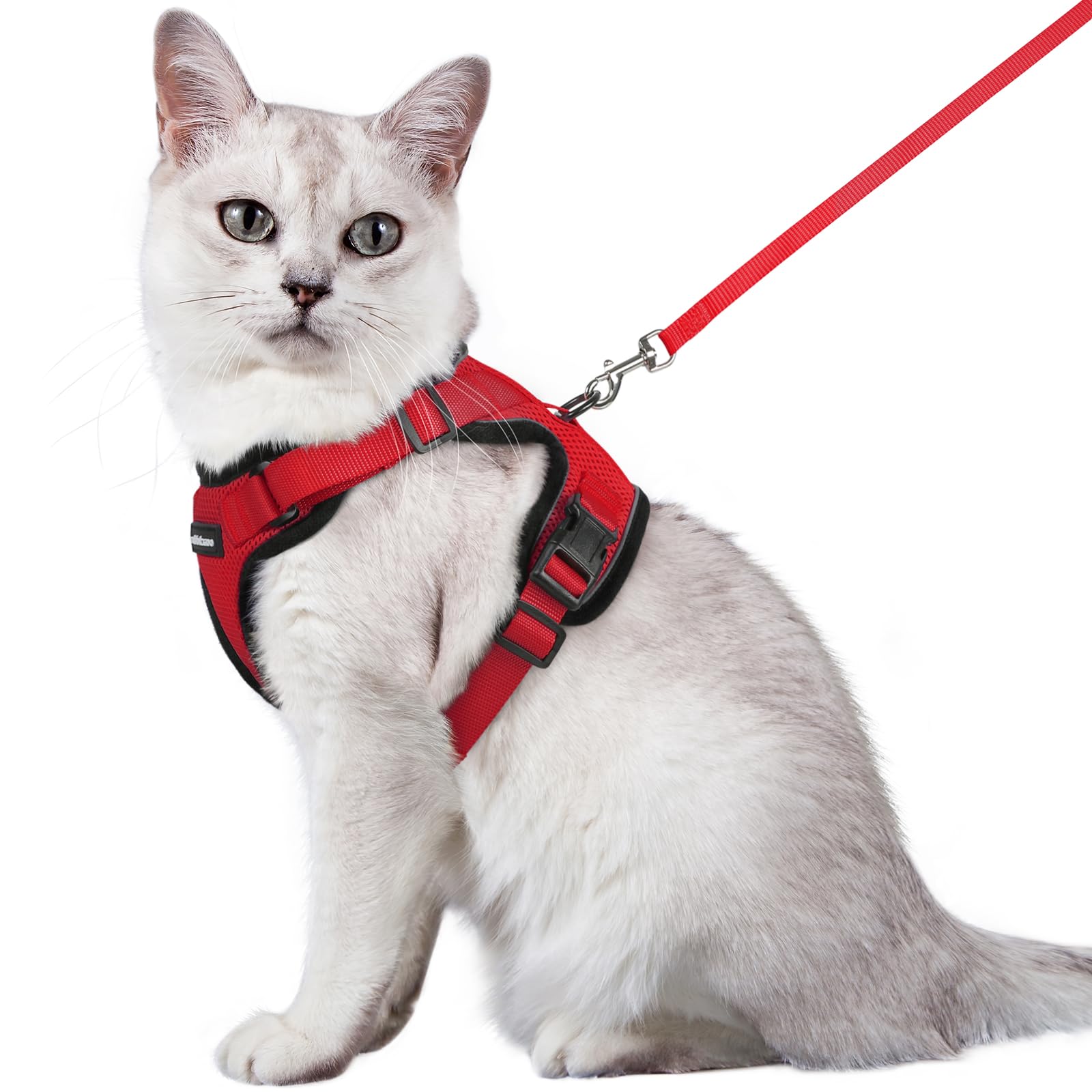 Rabbitgoo 猫 ハーネス リード セット 抜けない 猫用ハーネス ソフト軽量 犬猫兼用 超小型犬 小型犬 散歩 災害避難 はーねす りーど 足を上げず装着完成 サイズ調節可 夜反射 通気メッシュ 咳込み防止 胴輪 紐 ひも（レッド Mサイズ）