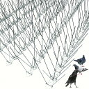 【送料無料】ONESORA 鳩よけ とげ 鳥よけ 剣山 ステンレス製 鳥よけスパイク 【総長 5m】 カラスよけ 鳥のフン害対策 ベランダ鳩よけ 軒下鳩よけ 設...