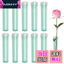 【送料無料】PAVIKEクリアフローラルチューブ 【10個】花チューブ 花の水管 クリアチューブ 透明 試験管 花瓶 生花保存容器、繰り返し使用でき、各種生花の...