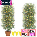 【送料無料】防虫ネット 植物保護カバー 2個セット 保護カバー 防鳥ネット メッシュ巾着式 虫鳥除け網 通気性 引き紐付き 園芸用ネット 植物保護カバー 鳥害対...
