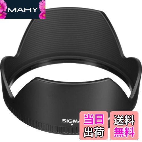 ̵ۥ(Sigma) SIGMA 󥺥ա LH876-01