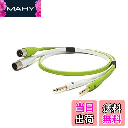 ̵NEO by OYAIDE Elec d+ TXM class B 1.0m ǥ֥