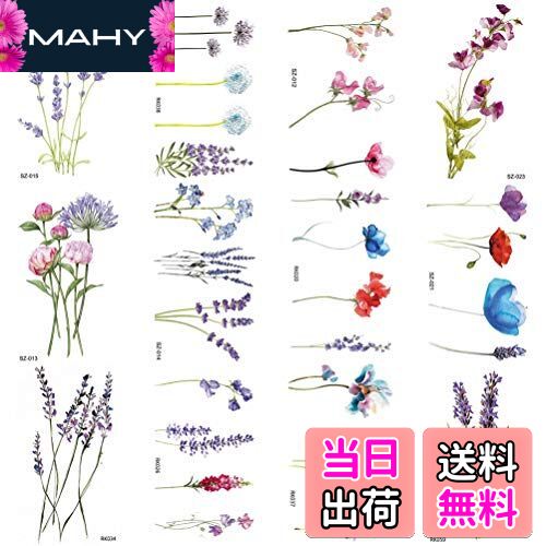 ̵COKTAK 12祻å 3d̥٥ְŪѽܥǥȥեեͥȥȥƥåɿλϻ