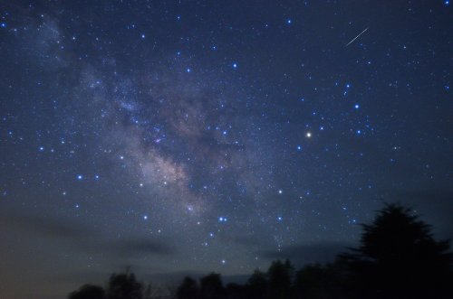 【中古-非常に良い】 ソニー メモリーカードレコーダー SDカード対応 SDカード 8GB 付属 ICD-LX31