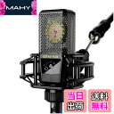 【送料無料】LEWITT LCT 440 シリーズ