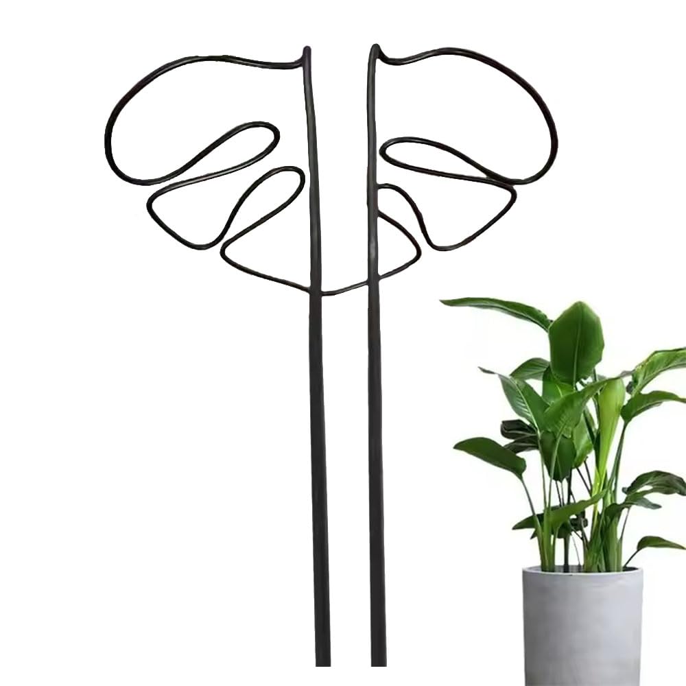 【送料無料】GLOWZEN モンステラ 支柱 園芸支柱 観葉植物 植物サポート 花支架 ガーデニング支柱 モン..