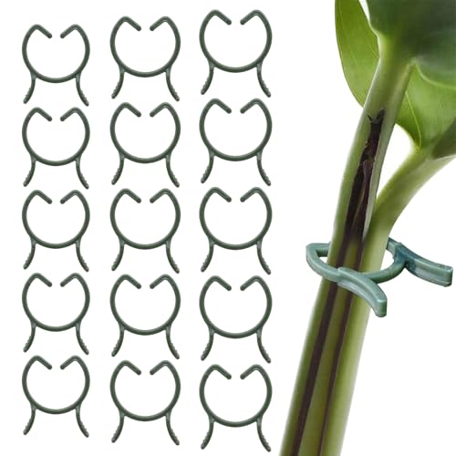 【送料無料】PAVIKE 洋蘭 植物用クリップ 60個入り 植物支柱クリップ 園芸クリップ 接ぎ木クリップ 支..