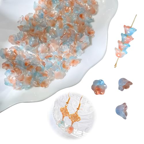 ̵TVETE եӡ 饹ӡ ӡե100ۥǡեӡ դӡ DIYե 奨꡼...