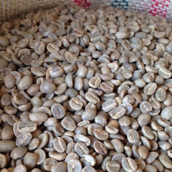 【送料無料】松屋珈琲 コーヒー生豆 コロンビア スプレモ（SUP）