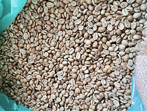 【送料無料】グアテマラ オリエンテ ナチュラル 【USプレミアム】スペシャルティコーヒー コーヒー 生..