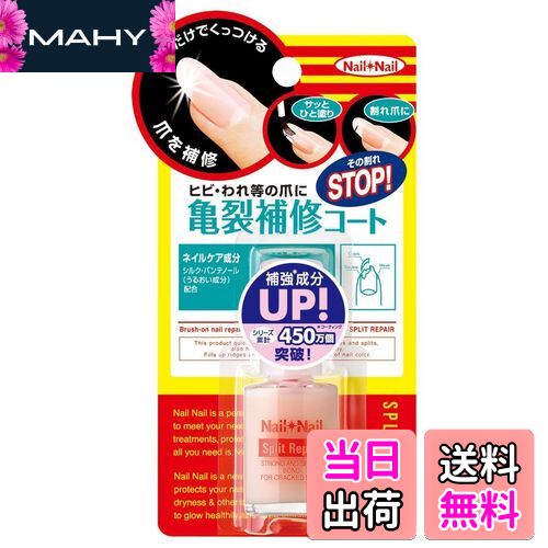 ̵ۥͥͥ ץåȥڥ N 6mL ١塢6ߥåȥ (x 1)