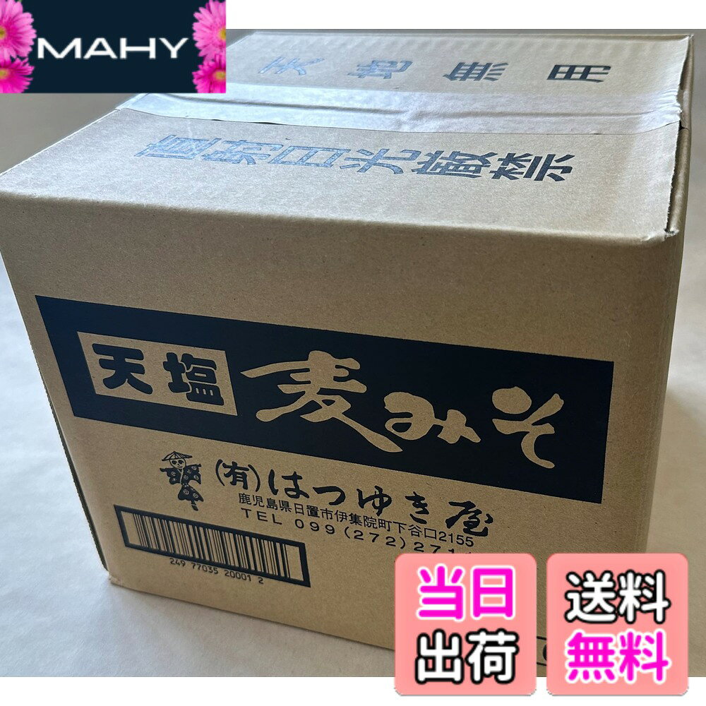 【送料無料】(有)はつゆき屋 天塩麦みそ無添加 1kgx6