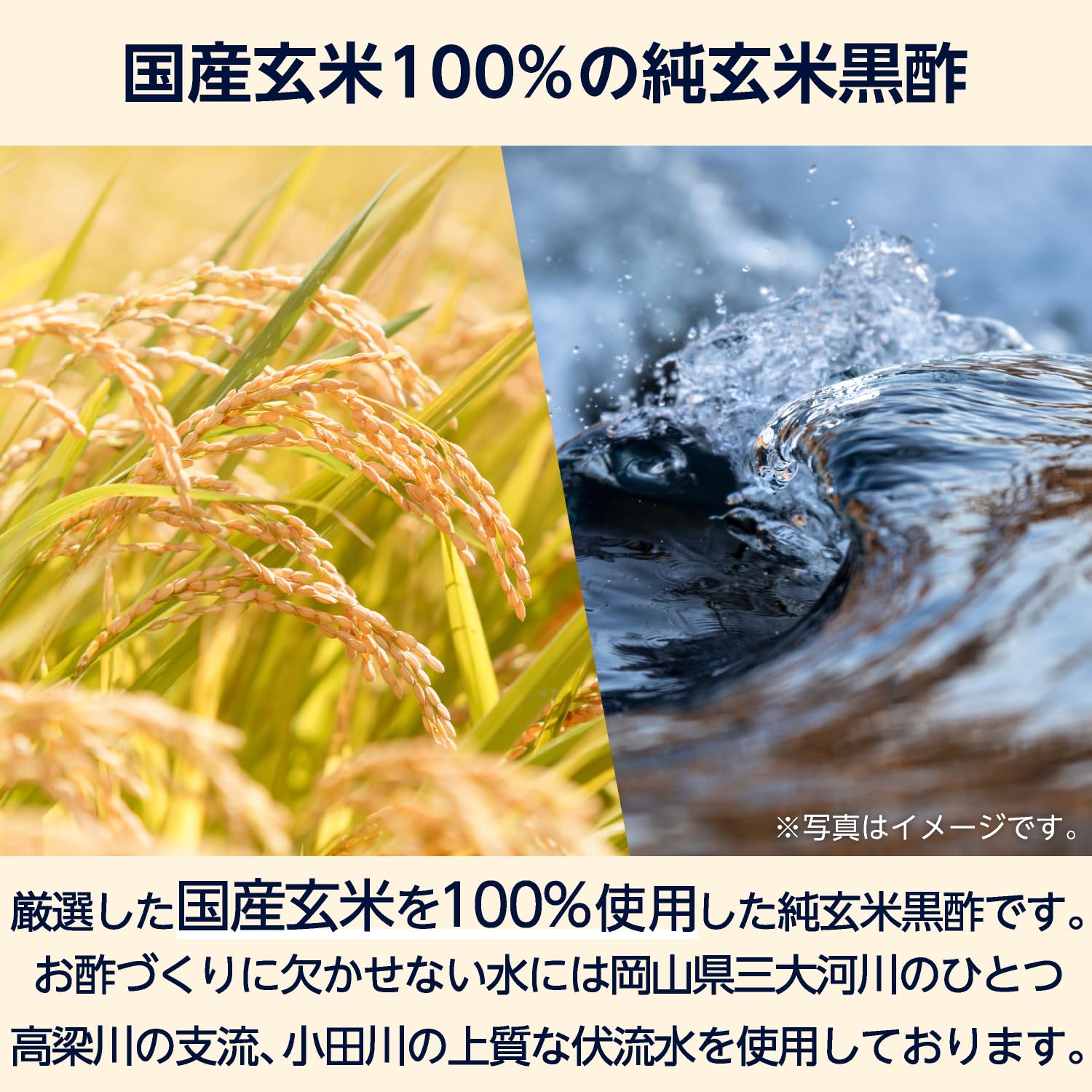 サンプル画像3
