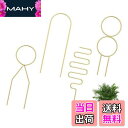 【送料無料】TVETE ゴールド メタリック 園芸支柱 植物支柱 金属 スパイラル スタイル 【5点セット】 観葉植物 支柱 おしゃれ ゴールド ツルネ サポート 蔓性植物 バラ 花 チューリップ ヒヤシンス 固定 クロロフィツム ポトス 胡蝶蘭 モンステラ