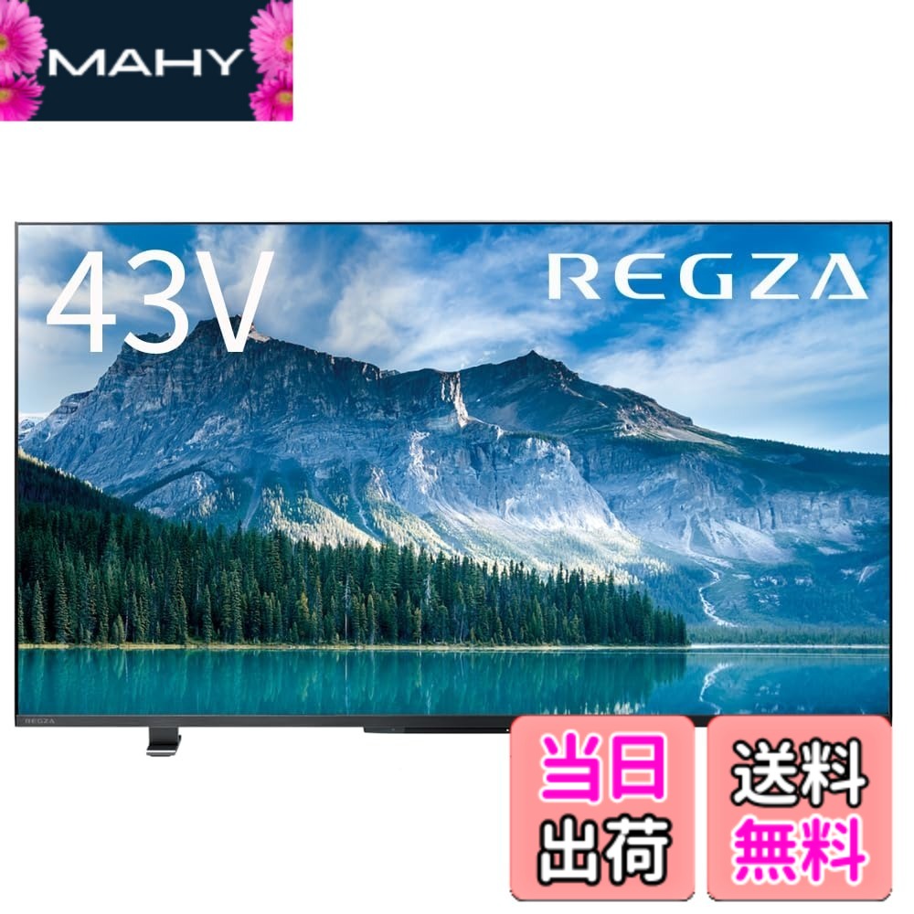 【送料無料】4K60Hz_NM 色：ブラック、サイズ：43インチ