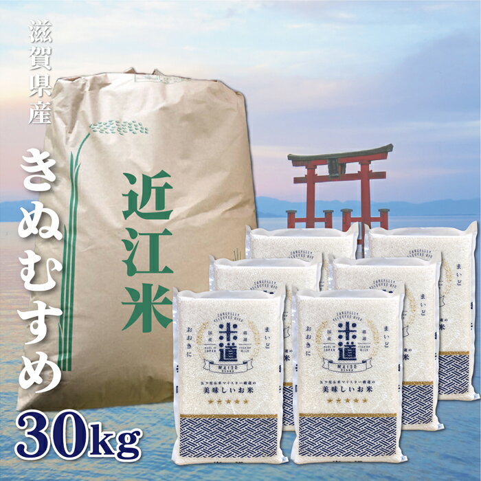 【送料無料】 【新米】 米 滋賀県産 きぬむすめ 30Kg お米 令和二年産 玄米 白米 ごはん 一等米 単一原料米 保存食 米 真空パック 高級