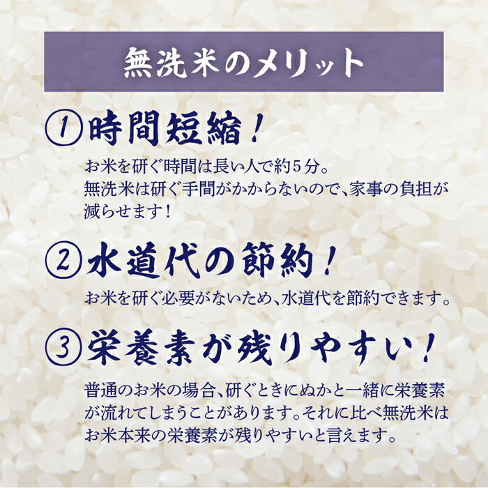 米 30kg 送料無料 白米 無洗米 ゆめぴりか 5kg×6 令和三年産 北海道産 30キロ お米 玄米 ごはん 一等米 単一原料米 保存食 真空パック 高級 保存米