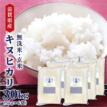 滋賀県産 キヌヒカリ 30Kg お米 送料無料 令和元年産 玄米 白米 ごはん 無洗米 一等米 単一原料米 保存食 真空パック 長期保存 保存米