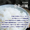 玄米 10kg 送料無料 白米 金色の風 5kg×2 令和五年産 岩手県産 10キロ お米 玄米 ごはん 慣行栽培米 一等米 単一原料米 分付き米対応可 保存食 真空パック 高級 保存米 米 2