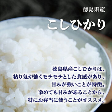 玄米 10kg 送料無料 白米 無洗米 こしひかり 5kg×2 新米 令和三年産 無洗米 徳島県産 10キロ お米 玄米 ごはん 一等米 単一原料米 保存食 米 真空パック 高級 保存米 コシヒカリ 米