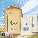 米 10kg 送料無料 白米 無洗米 てんたかく 5kg×2 新米 令和二年産 富山県産 10キロ お米 玄米 ごはん 慣行栽培米 一等米 単一原料米 分付き米対応可 保存食 真空パック 高級 保存米 米