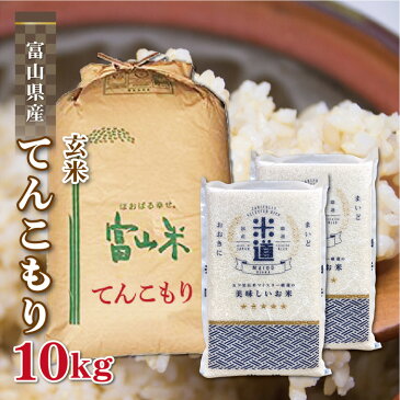 玄米 10kg 送料無料 白米 無洗米 てんこもり 5kg×2 令和二年産 富山県産 10キロ 10キロ お米 玄米 ごはん 慣行栽培米 一等米 単一原料米 分付き米対応可 保存食 真空パック 高級 保存米 米