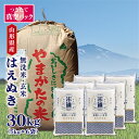 米 30kg 送料無料 白米 無洗米 はえぬき 5kg×6 令和五年産 山形県産 30キロ お米 ごはん 米 検査米 単一原料米 玄米 保存食 無洗米 真空パック