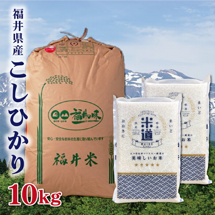 米 10kg 送料無料 白米 無洗米 こしひかり 5kg×2 新米 令和二年産 福井...