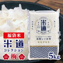 米 5kg 送料無料 福袋米
