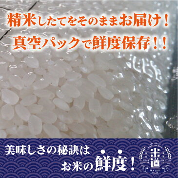 無洗米 山形県産 ササニシキ 30Kg お米 送料無料 令和元年産 玄米 白米 ごはん 単一原料米 分付き米対応可 保存食 米 真空パック 長期保存 高級 保存米 選べるおまけつき