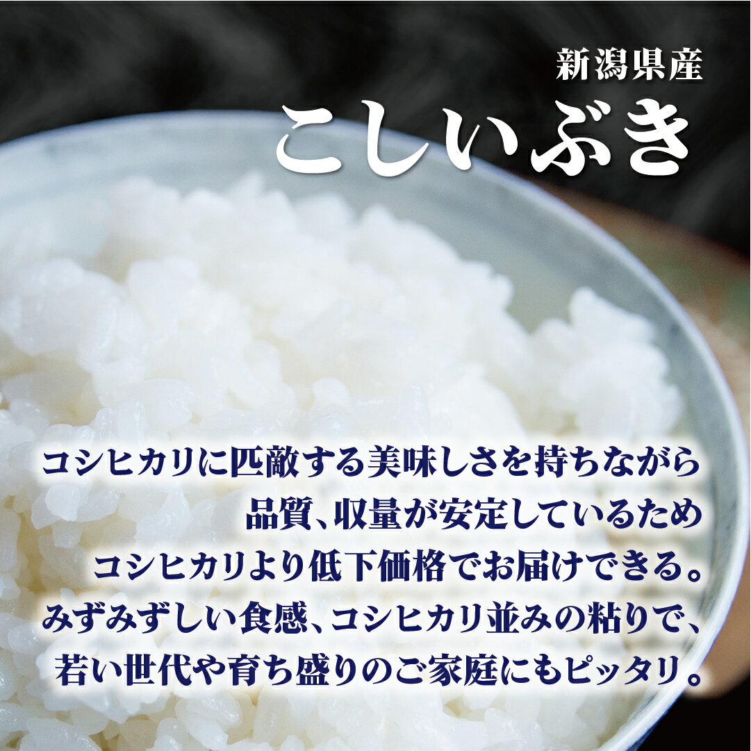 米 10kg 送料無料 白米 こしいぶき 5kg×2 令和五年産 新潟県産 10キロ お米 玄米 ごはん 慣行栽培米 一等米 単一原料米 分付き米対応可 保存食 真空パック 高級 保存米 米 2