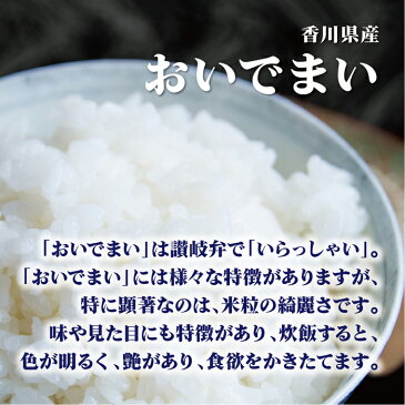 特A 香川県産 おいでまい 30Kg お米 送料無料 令和元年産玄米 白米 ごはん 無洗米 単一原料米 保存食 真空パック 長期保存 保存米