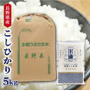 【令和六年産】 長野県産こしひかり 5kg 【選べる精米度合い】白米 玄米 真空パック 一等米 保存米 検査米 送料無料