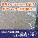 米 2kg 送料無料 白米 こしひかり 令和五年産 富山県産 2Kg お米 玄米 ごはん 特別栽培米 減農薬減化学肥料米 一等米 単一原料米 保存食 米 真空パック 高級 保存米 コシヒカリ 3