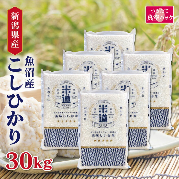 【特価】【売り尽くし