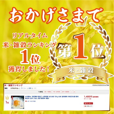 ★クーポンで100円OFF★ 山形県産 はえぬき 5Kg お米 送料無料 令和元年産 白米 米 5kg 検査米 単一原料米 保存食 無洗米 玄米 真空パック 長期保存 保存米