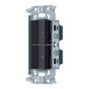 電設資材 パナソニック WNSS53696B SO-STYLE 埋込ロングハンドルスイッチセット ほたるスイッチE×2 マットブラック