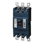 パナソニック BKWA33509 電設資材 漏電ブレーカBKWA型 400AF 3P3E 350A 切替