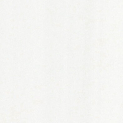 アイカ工業 【FAN 1836ZMN／2枚入】 セラール CERARL メラミン不燃化粧板 壁パネル 3×8 厚さ3mm [♪△【..