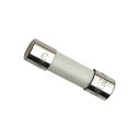 共立電気 MODEL 8929 ヒューズ 16A/250V