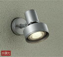 大光電機(DAIKO) DOL-3765XS スポットライト 屋外 LED アウトドアライト ランプ別売 非調光 防雨形 シルバー