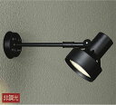 大光電機(DAIKO) DOL-3766XB スポットライト 屋外 LED アウトドアライト ランプ別売 非調光 防雨形 ブラック