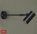 大光電機(DAIKO) DOL-4019YB スポットライト 屋外 LED アウトドアライト LED内蔵 非調光 電球色 防雨形 ブラック