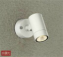 大光電機(DAIKO) DOL-4824YW スポットライト 屋外 LED アウトドアライト 非調光 LED内蔵 電球色 防雨形 ホワイト