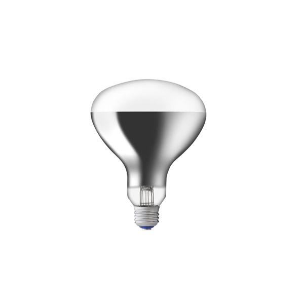 岩崎電気 RF110V135WH 屋外投光用アイランプ 散光形 150W形 白熱ランプ E26 [£]