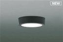 コイズミ照明 AH52293 薄型シーリングライト LED一体型 直・壁取付 傾斜天井対応 非調光 昼白色 黒色
