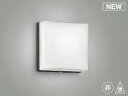 コイズミ照明 AR52844 階段通路誘導灯 LED一体型 非調光 防雨型 昼白色