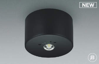 コイズミ照明　AR52853　住宅用非常灯専用型照明器具 LED一体型 非調光 直付型 電池内蔵形 昼白色 ホワイト