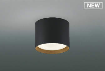 コイズミ照明　AH54219　シーリングライト 非調光 LEDランプ 温白色 直付・壁付取付 ブラック