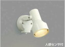 コイズミ照明 AU40621L スポットライト 屋外 人感センサー ライト LED アウトドアスポットライト タイマー付ON-OFFタイプ 白熱球100W相当 ...